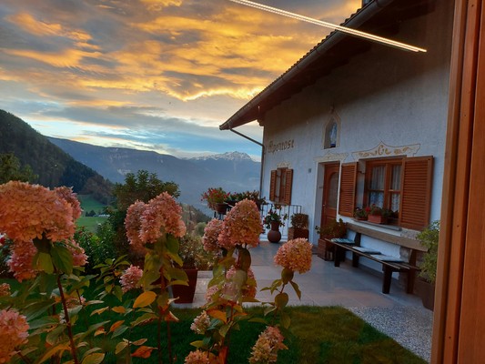 Foto esterno Appartamenti Haus Alpenrose