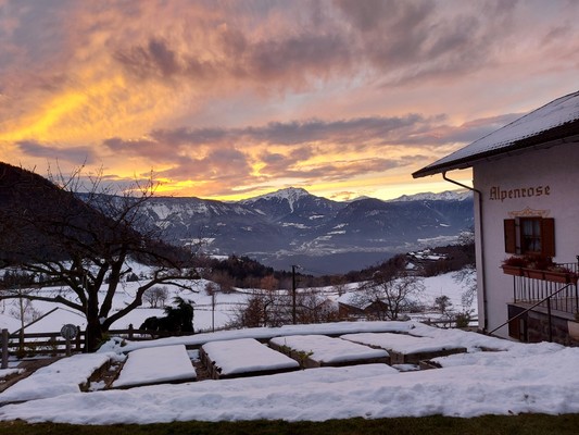 Foto esterno Appartamenti Haus Alpenrose