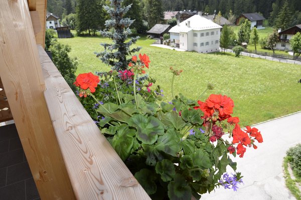 Photo of the balcony Corn