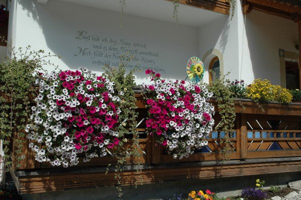 Foto vom Balkon Villa Toni