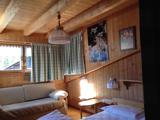 The living area Residence Ciasa Cianins