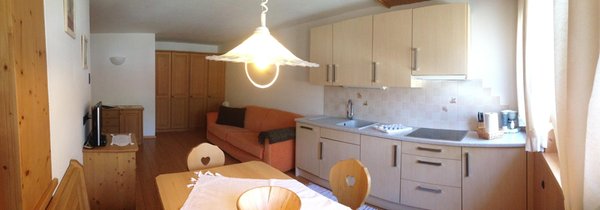 Der Wohnraum Apartments Ciasa Greta