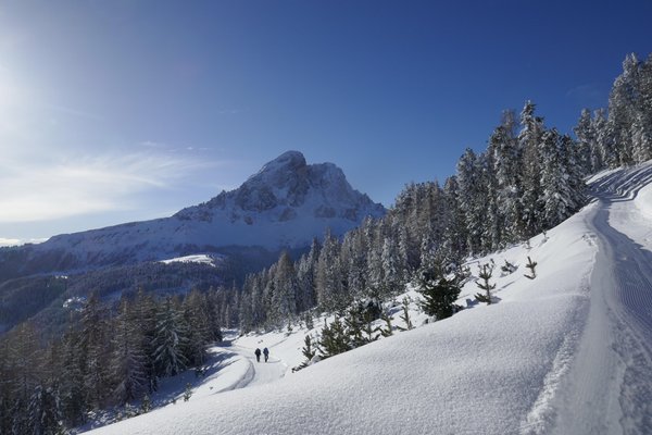 Bildergalerie Winter