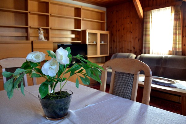 Photo of the living room