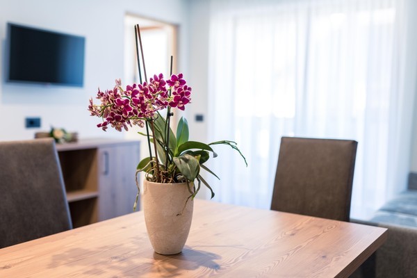 Der Wohnraum Ferienwohnungen Ciasa Mascotte