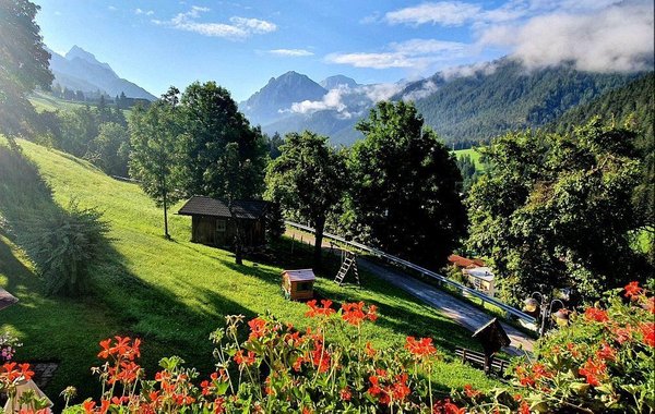 Bildergalerie Sommer