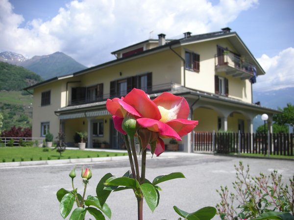Foto esterno in estate Il Crocevia