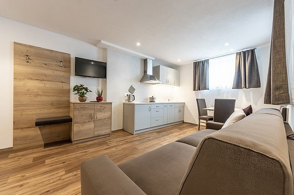 The living area Apartments Ties Alfred