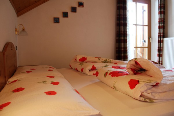Photo of the room Farmhouse apartments Lü da Iun