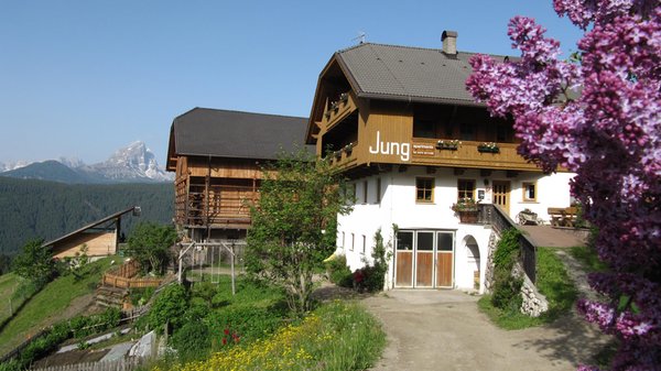 Foto Außenansicht im Sommer Maso Jung Hof