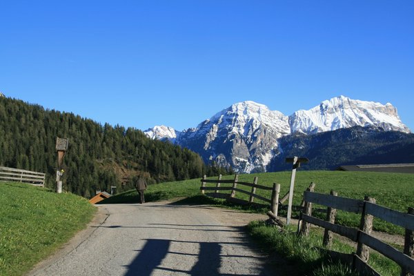 Aussicht Hof (Sankt Vigil in Enneberg)