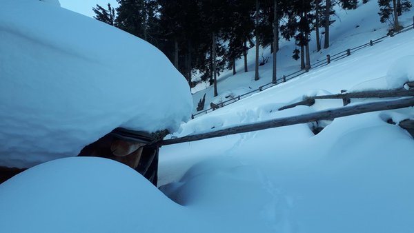 Bildergalerie Winter