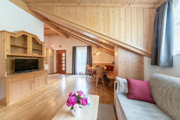 The living area Farmhouse apartments Maso Corjel