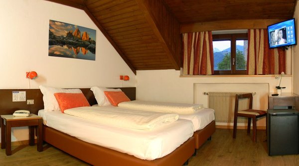 Photo of the room Hotel Bologna