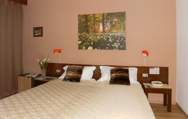Photo of the room Hotel Bologna