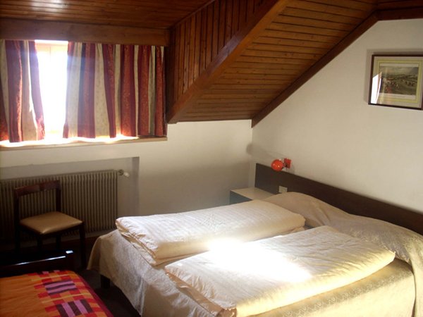 Photo of the room Hotel Bologna