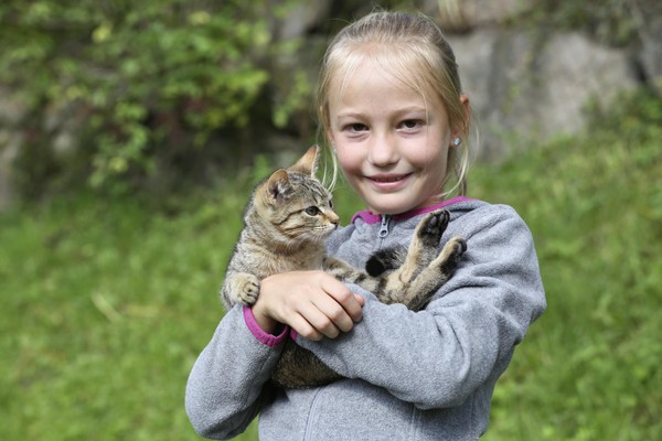 Foto degli animali