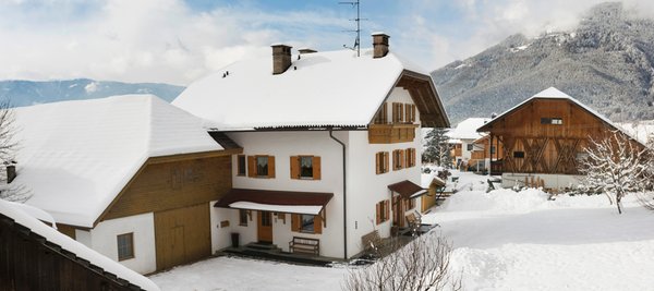 Foto invernale di presentazione Apartments Oberparleiter Bachlechnerhof