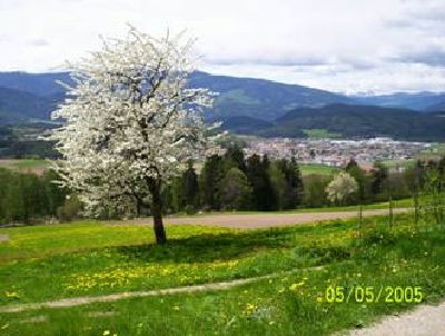 Bildergalerie