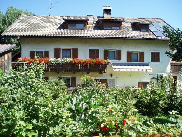 Photo exteriors in summer Unterrainerhof