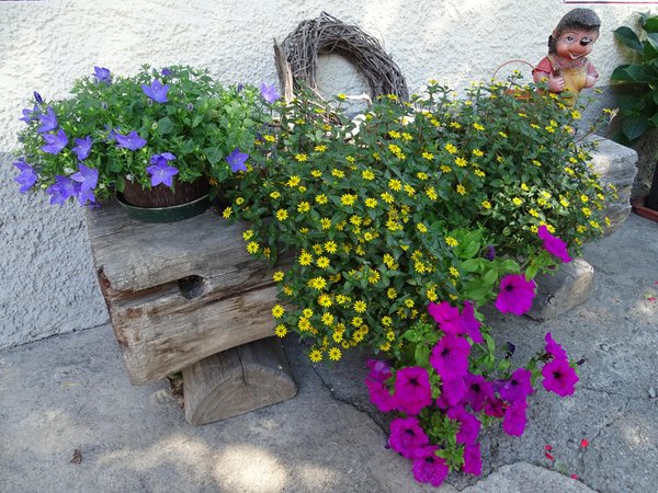 Photo of the garden Stegona / Stegen (Brunico / Bruneck)