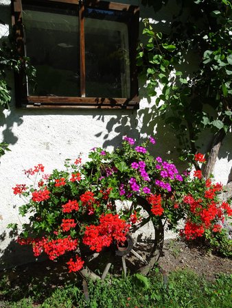 Foto del giardino Stegona (Brunico)