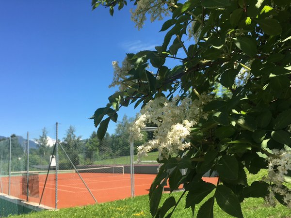 Photo of the garden Riscone / Reischach