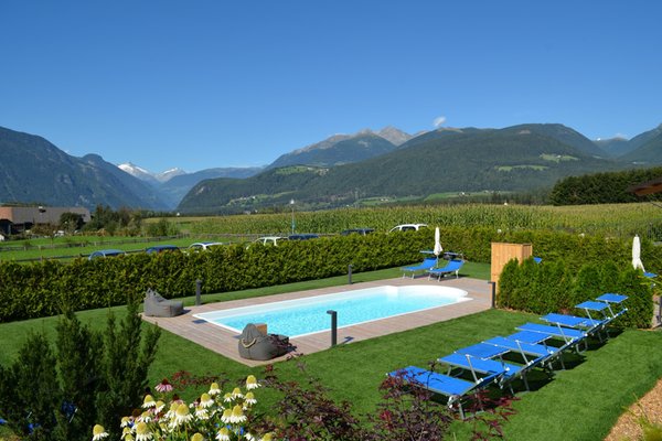 Photo of the outdoor swimming pool
