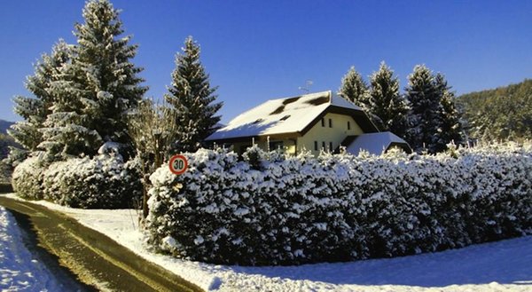 Gallery inverno