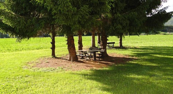 Foto del giardino Riscone