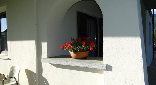 Foto di alcuni dettagli Vera