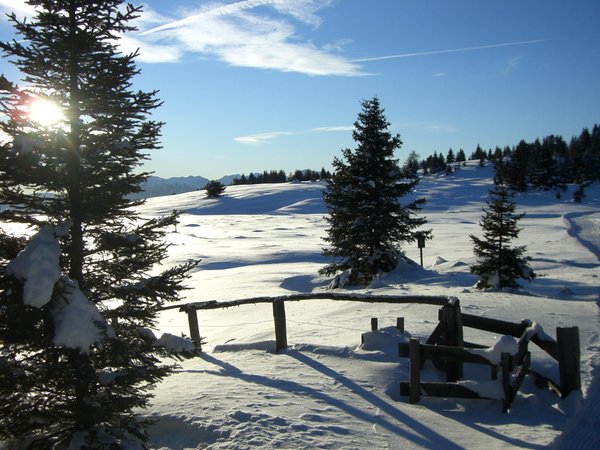 Gallery inverno