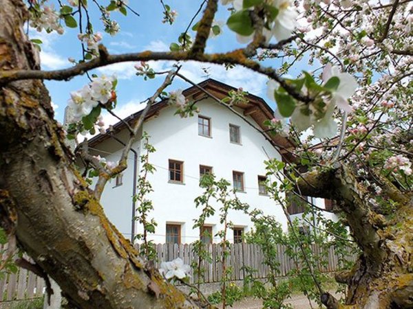 Foto Außenansicht im Sommer Großflatscherhof