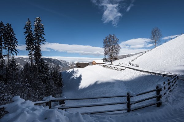 Foto esterno in inverno naturApart