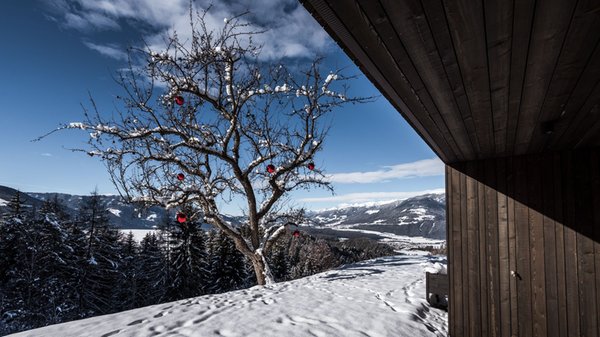 Foto esterno in inverno naturApart