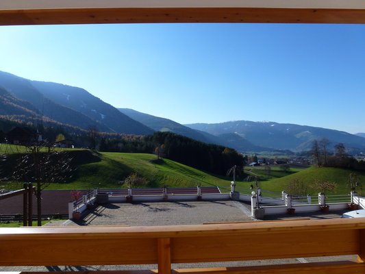 View from the business