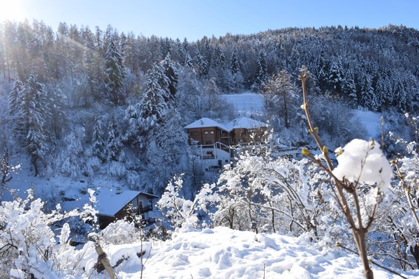 Foto Außenansicht Ferienwohnungen Schlossblick