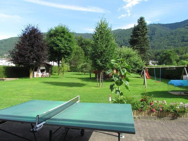 Foto vom Garten Reischach