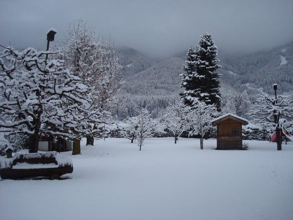 Foto vom Garten Reischach