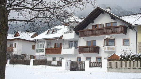 Foto Außenansicht Ferienwohnungen Tamanhof