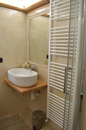 Foto del bagno Bed & Breakfast Canonega Vecia