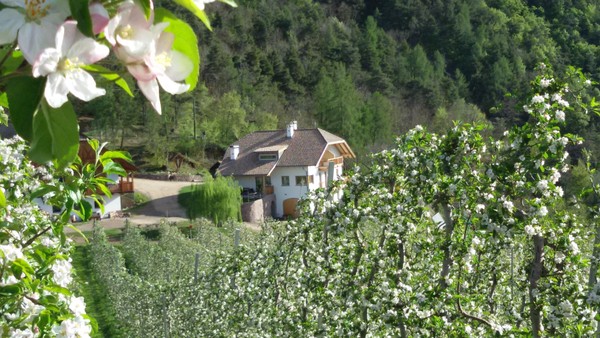 Lage Ferienwohnungen auf dem Bauernhof Werner Hof Jenesien