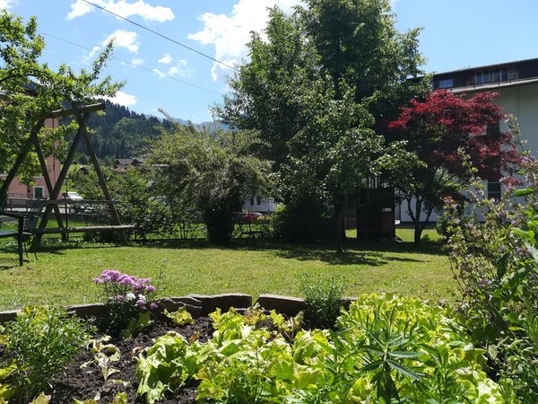 Foto del giardino Transacqua (Primiero)