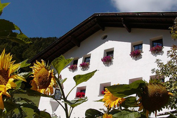 Foto Außenansicht im Sommer Tuene