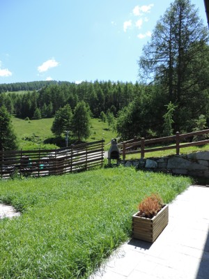 Photo of the garden Livigno