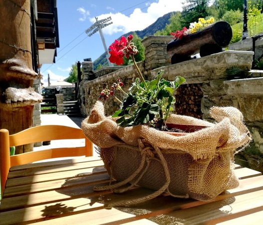 Foto Außenansicht im Sommer Maison Sylvie