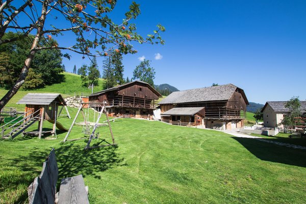 Appartamenti Agriturismo Maso Runch-Hof Badia (Pedraces e San Leonardo)