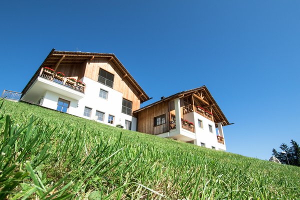 Foto esterno in estate Agriturismo Maso Runch-Hof