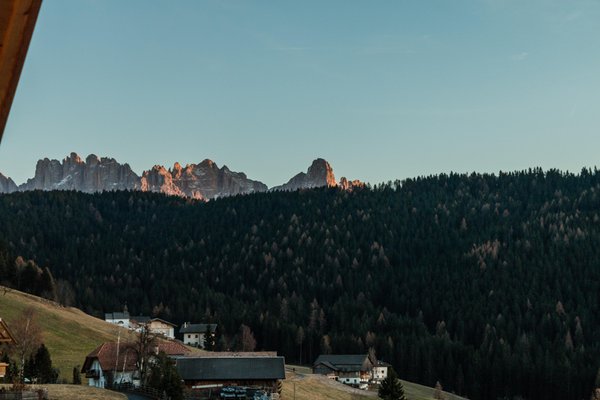 View from the business