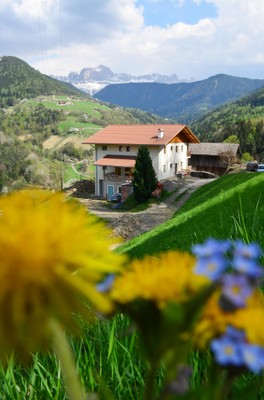 Foto Außenansicht Ferienwohnungen auf dem Bauernhof Oberparnai-Hof